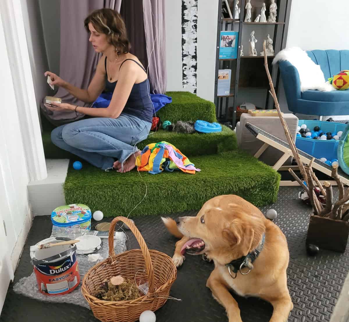 Niuchatka salka sensoryczna Gdańsk