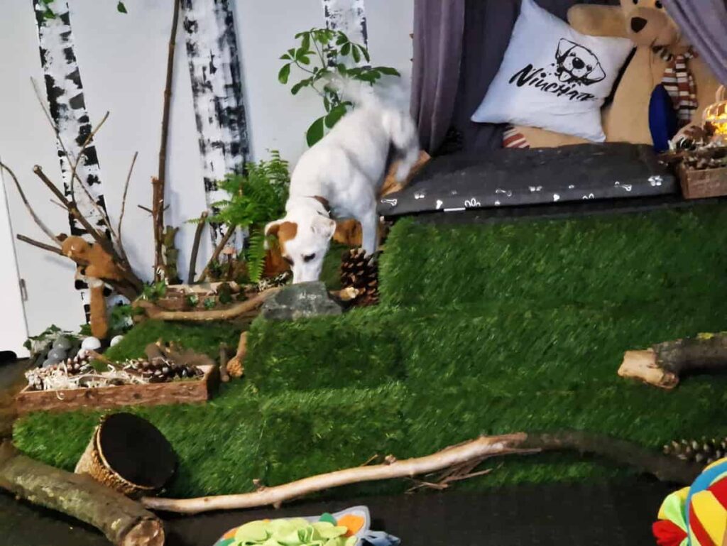 salka sensoryczna Niuchatka galeria zdjęć 1