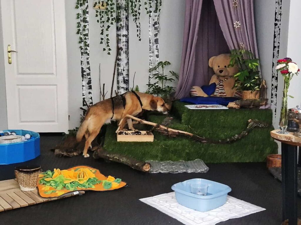 salka sensoryczna Niuchatka galeria zdjęć 12