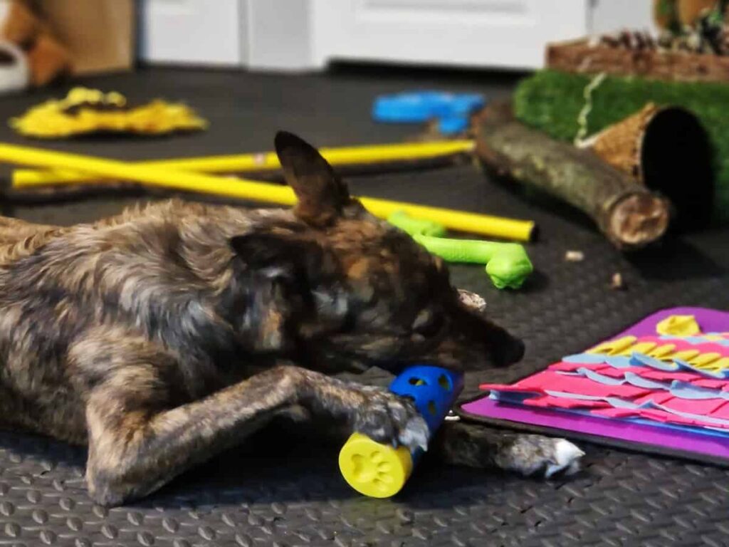 salka sensoryczna Niuchatka galeria zdjęć 2