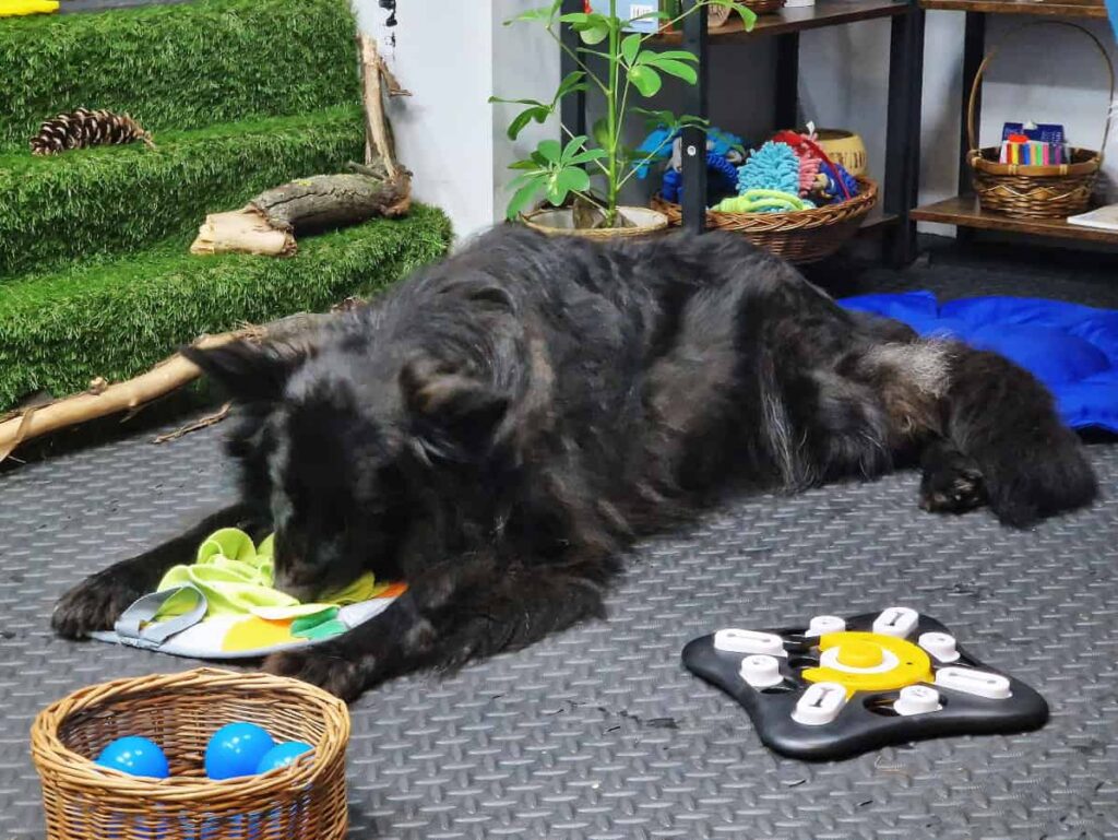 salka sensoryczna Niuchatka galeria zdjęć 3