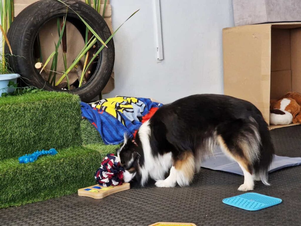 salka sensoryczna Niuchatka galeria zdjęć 5