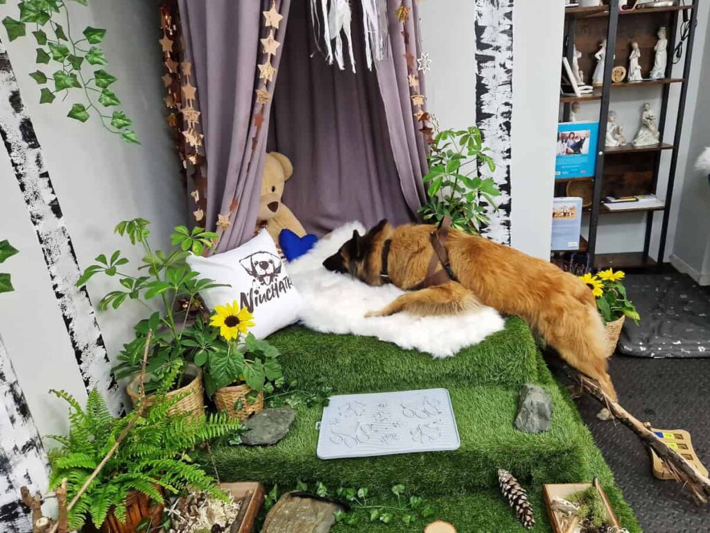 salka sensoryczna Niuchatka galeria zdjęć 6