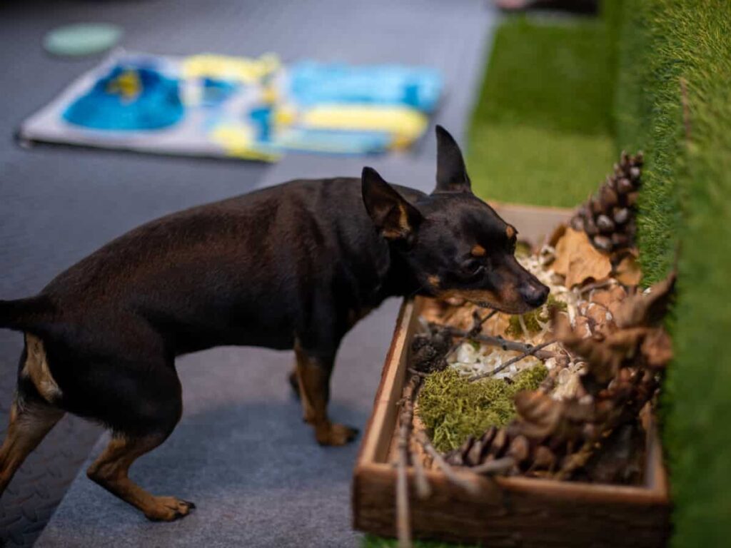 salka sensoryczna Niuchatka galeria zdjęć 7