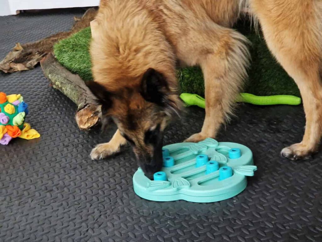 salka sensoryczna Niuchatka galeria zdjęć 8