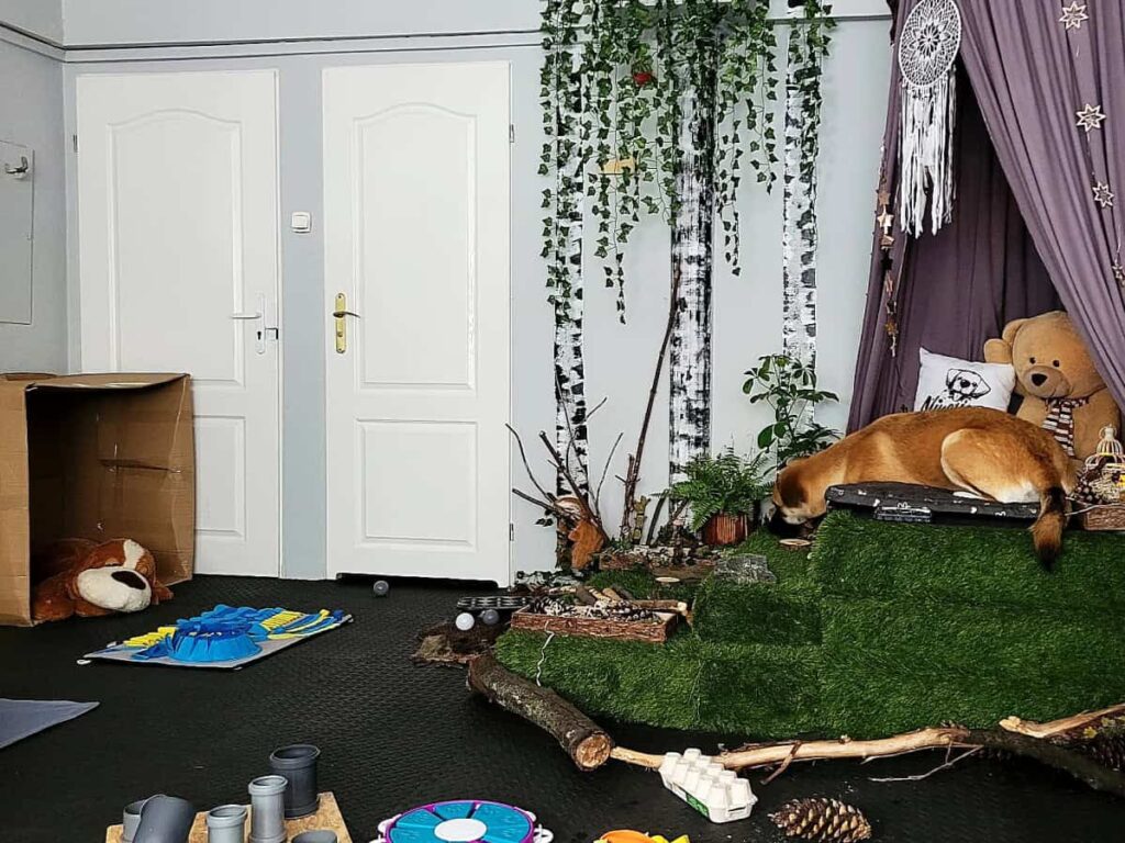 salka sensoryczna Niuchatka galeria zdjęć 9